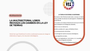 multisectorial comunicado